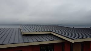 Best Flat Roofing  in Kula, HI